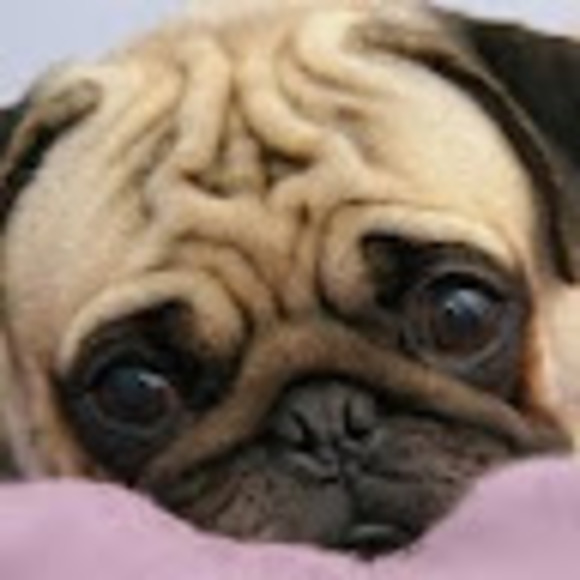 Meet your Posher, Magdalena - Picture 1 of 1